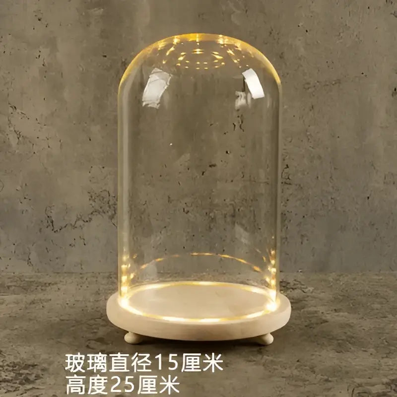 DecorBites™ Glass Bell Jar Terrarium with LED Light