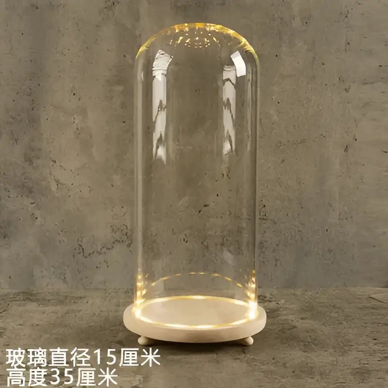 DecorBites™ Glass Bell Jar Terrarium with LED Light