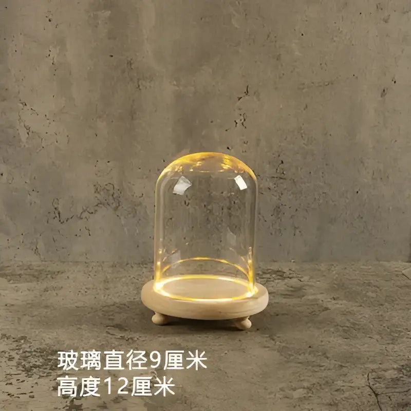 DecorBites™ Glass Bell Jar Terrarium with LED Light