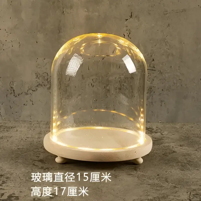 DecorBites™ Glass Bell Jar Terrarium with LED Light