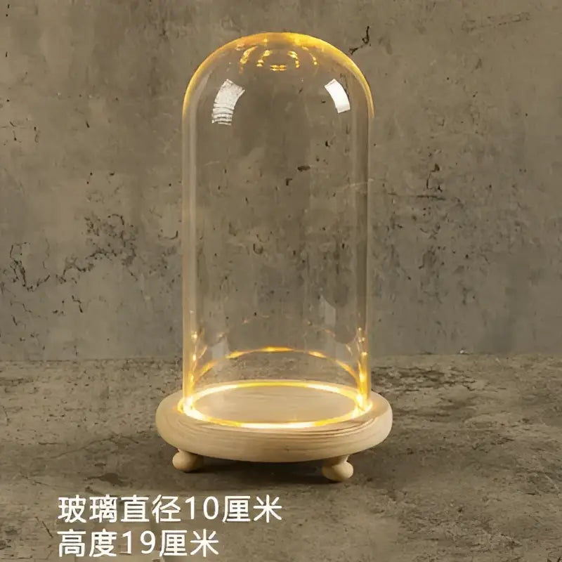 DecorBites™ Glass Bell Jar Terrarium with LED Light