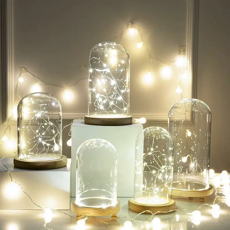 DecorBites™ Glass Bell Jar Terrarium with LED Light