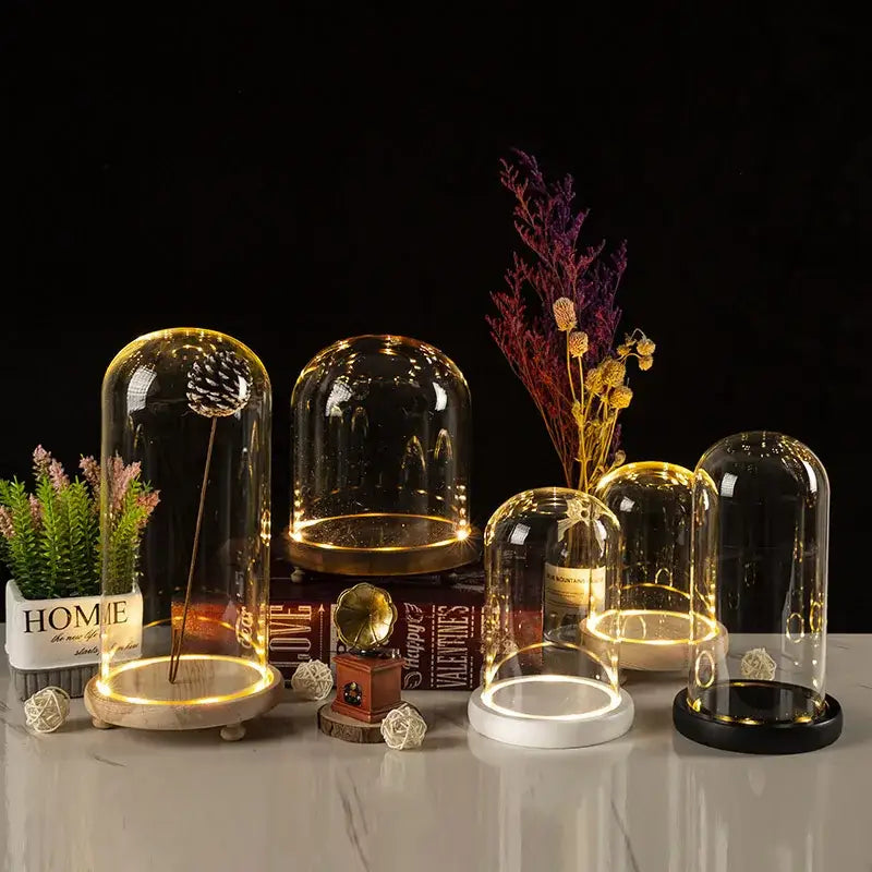 DecorBites™ Glass Bell Jar Terrarium with LED Light