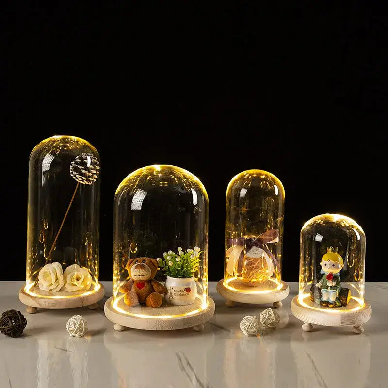 DecorBites™ Glass Bell Jar Terrarium with LED Light