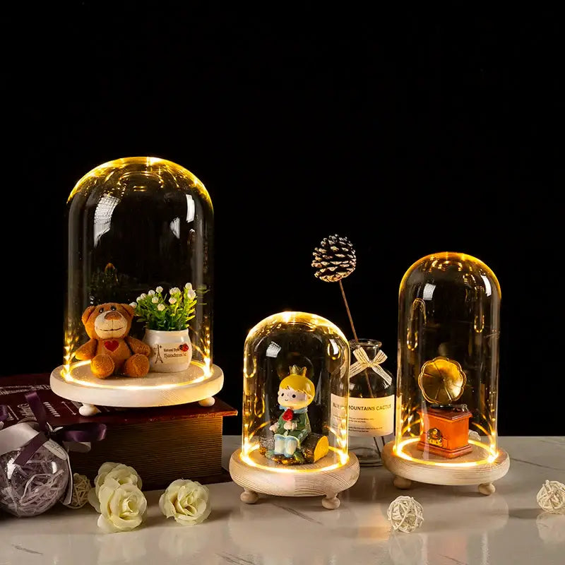 DecorBites™ Glass Bell Jar Terrarium with LED Light