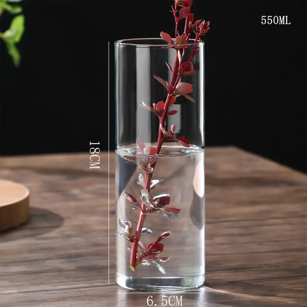 DecorBites™ Glass Hydroponic Desktop Planter Vase