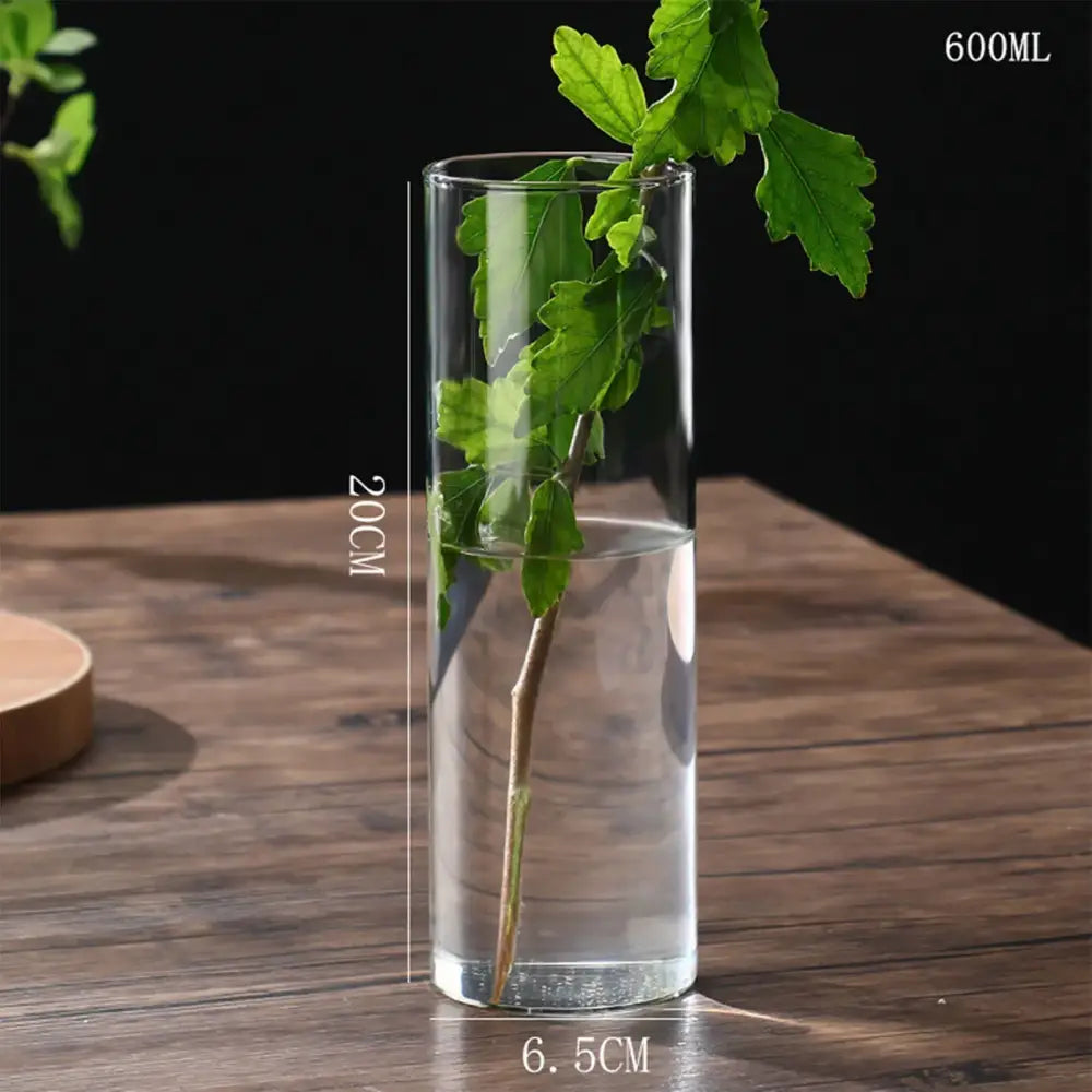 DecorBites™ Glass Hydroponic Desktop Planter Vase