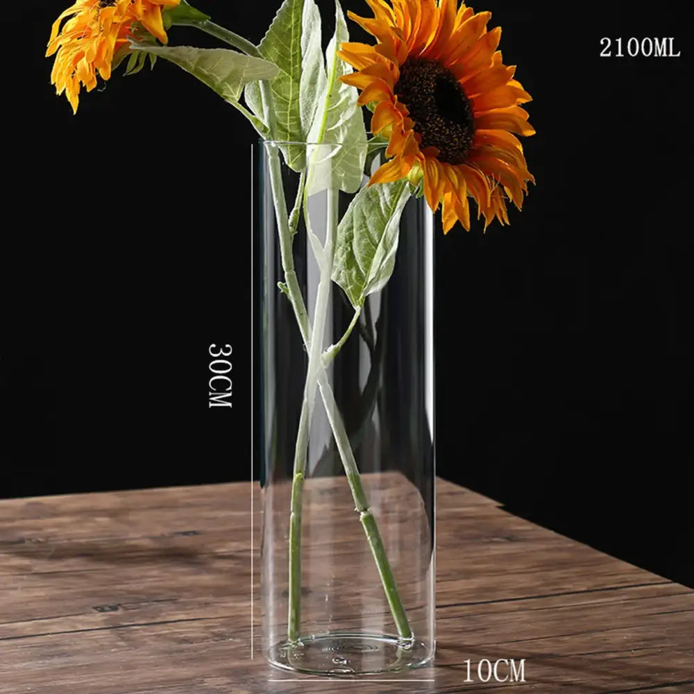 DecorBites™ Glass Hydroponic Desktop Planter Vase