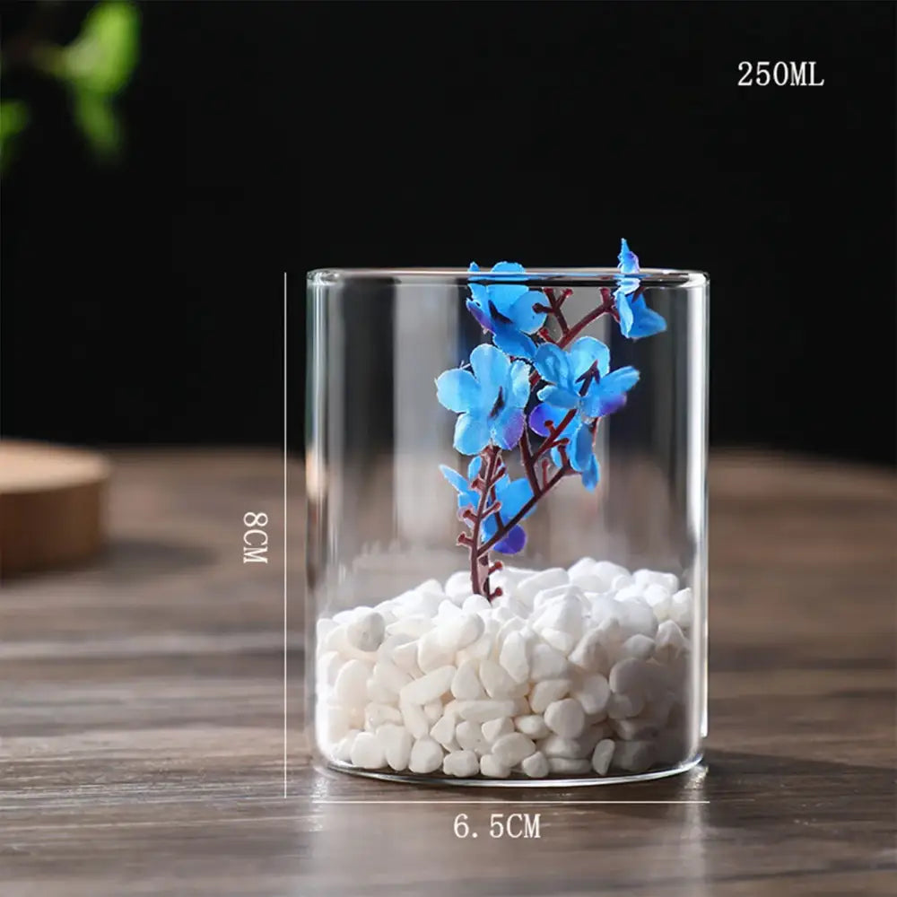 DecorBites™ Glass Hydroponic Desktop Planter Vase