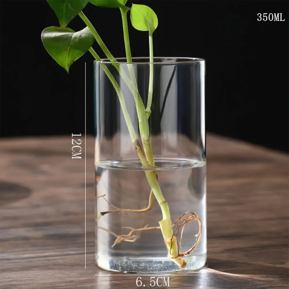 DecorBites™ Glass Hydroponic Desktop Planter Vase
