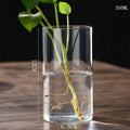 DecorBites™ Glass Hydroponic Desktop Planter Vase