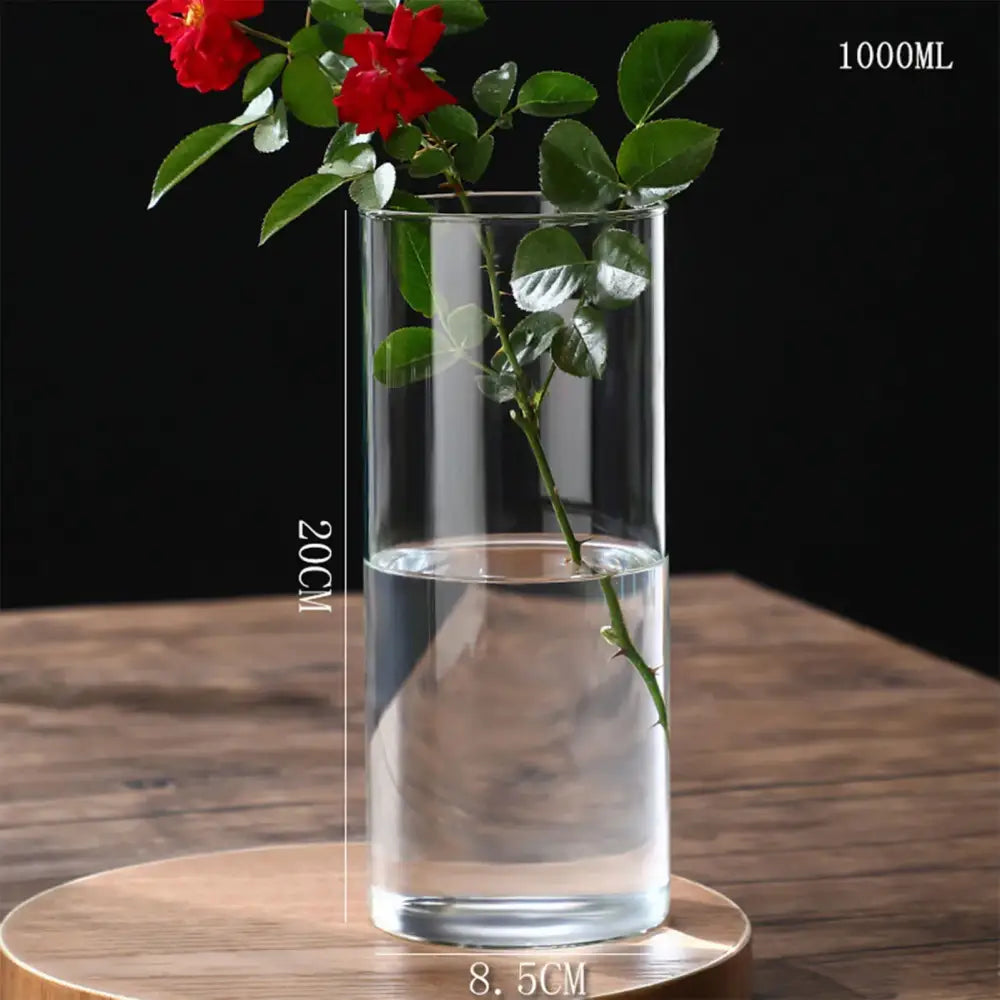 DecorBites™ Glass Hydroponic Desktop Planter Vase