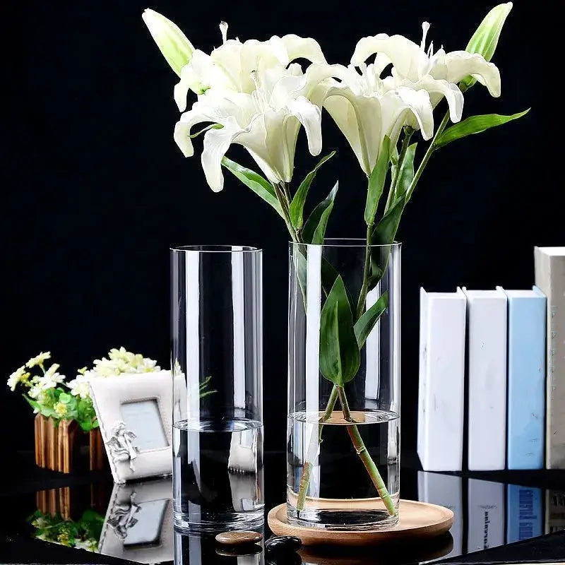 DecorBites™ Glass Hydroponic Desktop Planter Vase