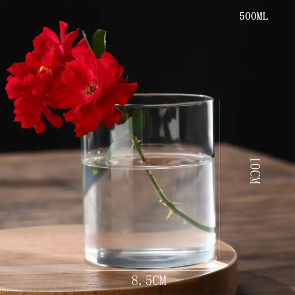 DecorBites™ Glass Hydroponic Desktop Planter Vase