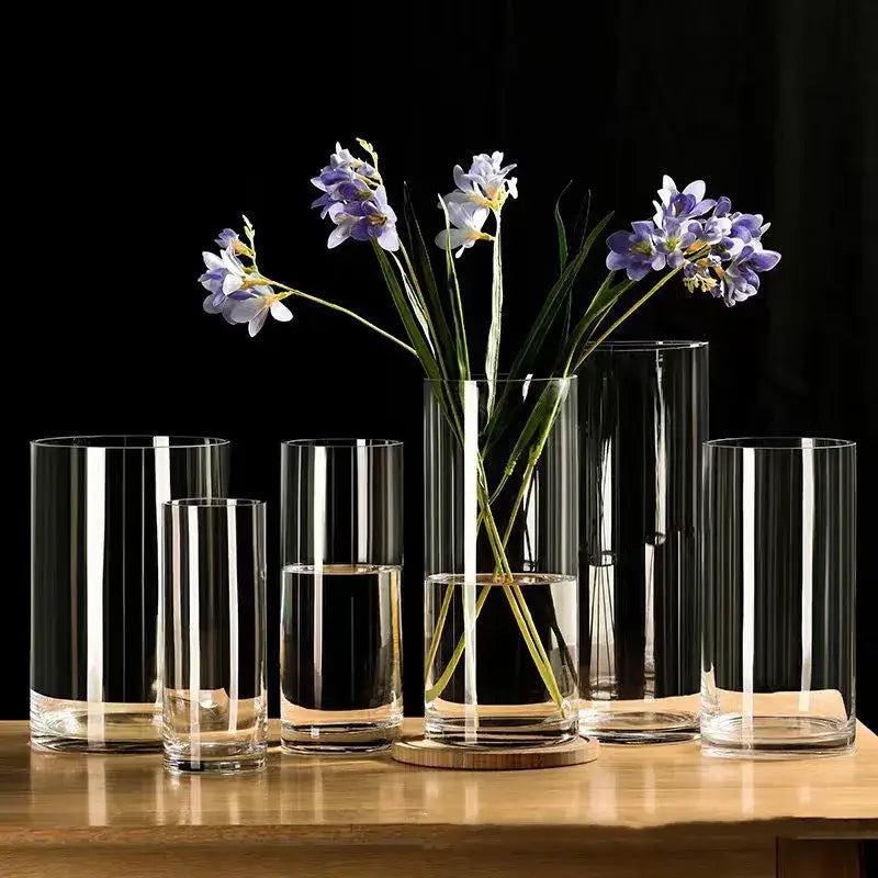 DecorBites™ Glass Hydroponic Desktop Planter Vase