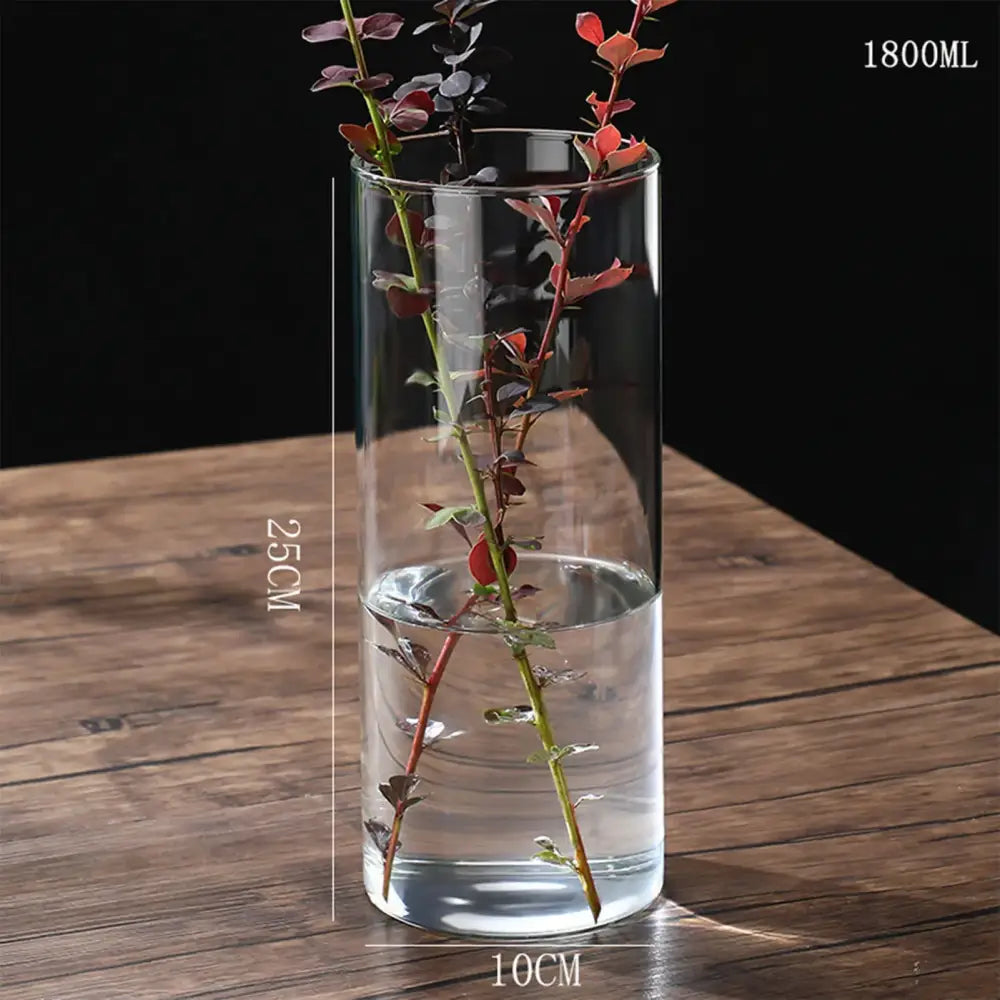 DecorBites™ Glass Hydroponic Desktop Planter Vase