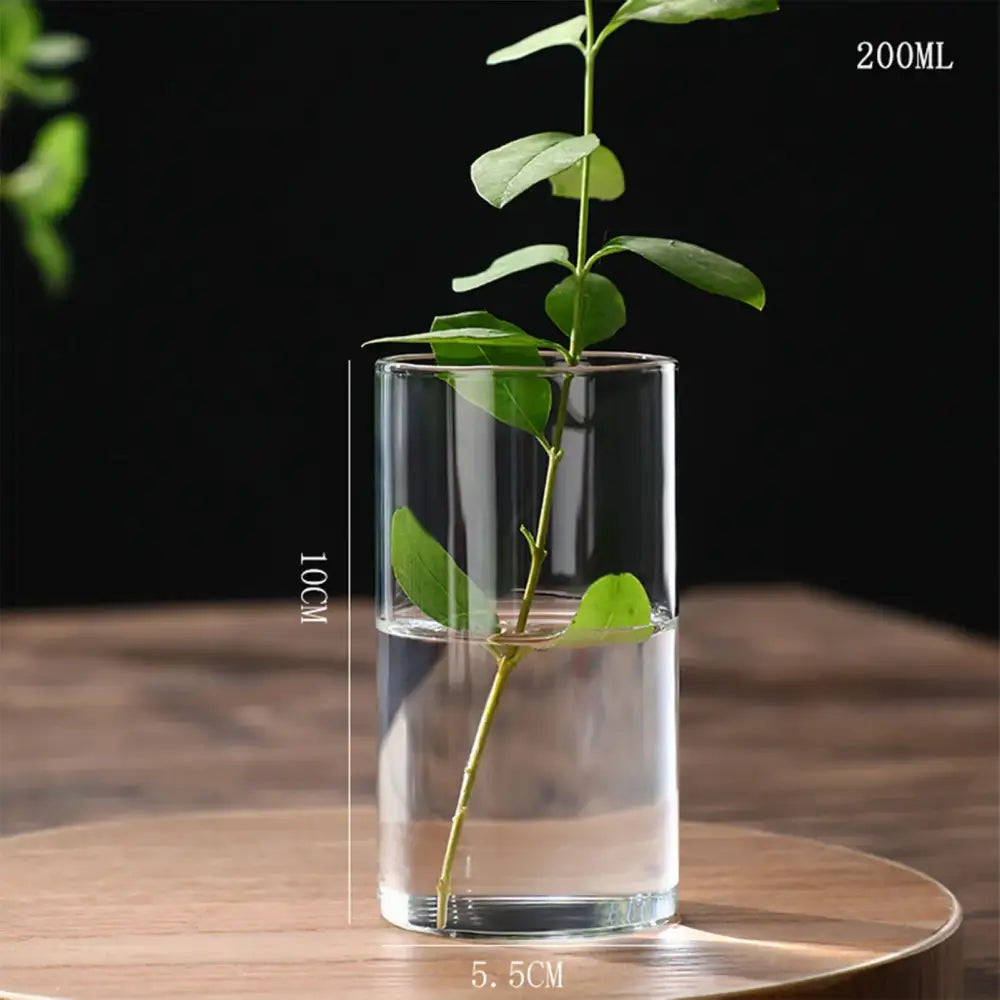 DecorBites™ Glass Hydroponic Desktop Planter Vase