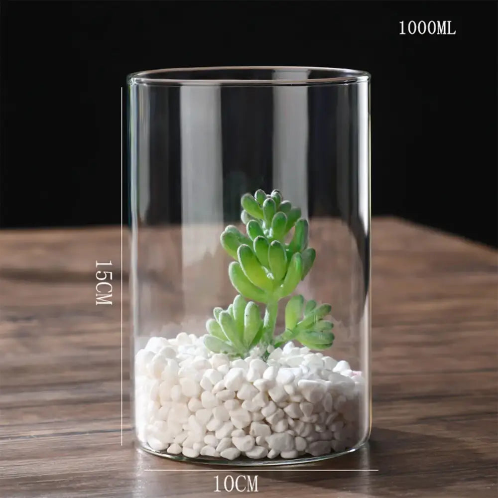 DecorBites™ Glass Hydroponic Desktop Planter Vase