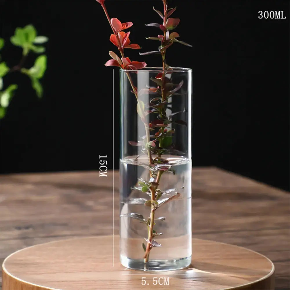 DecorBites™ Glass Hydroponic Desktop Planter Vase