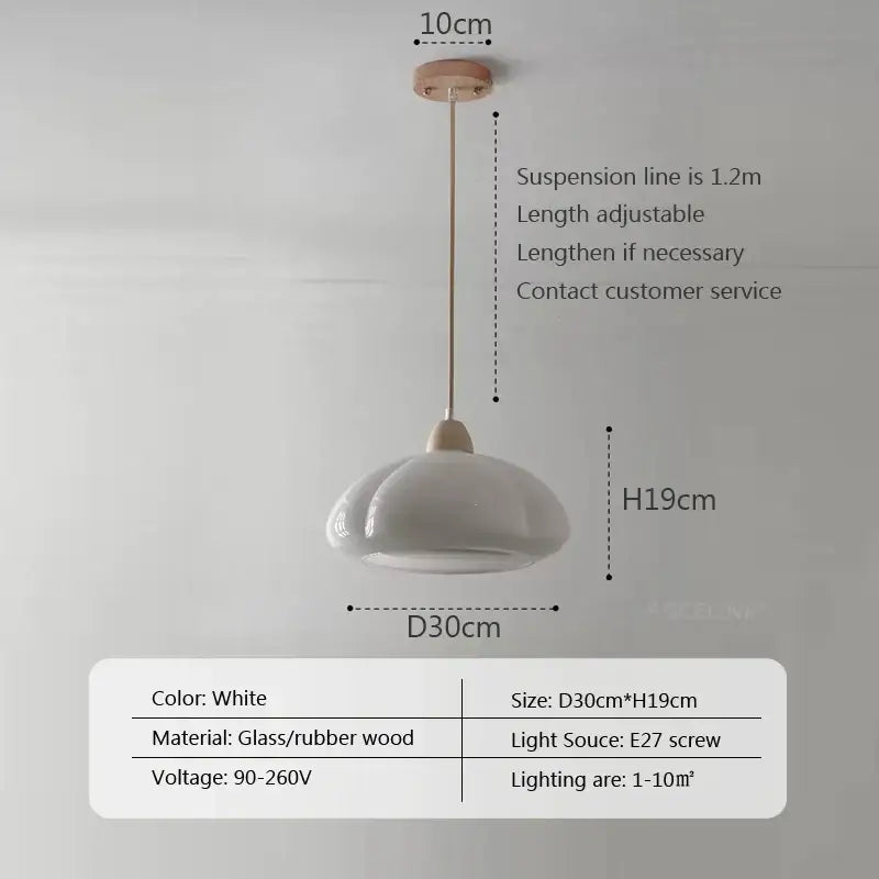 DecorBites™ Glass Pendant Lamps