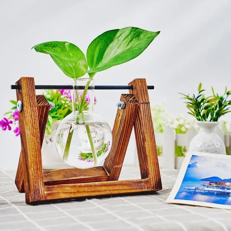 DecorBites™ Glass Planter Propagation Station with Wooden Rack