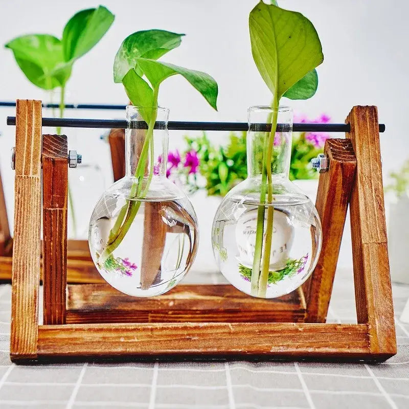 DecorBites™ Glass Planter Propagation Station with Wooden Rack