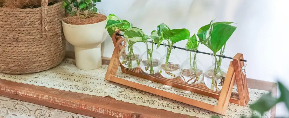 DecorBites™ Glass Planter Propagation Station with Wooden Rack