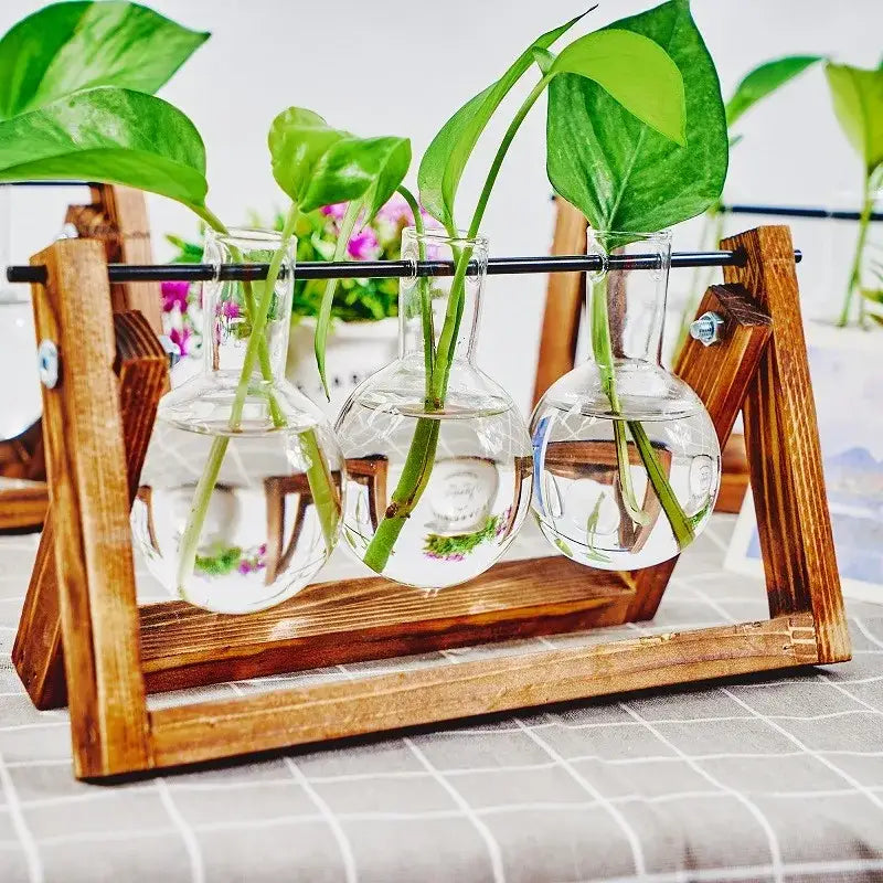 DecorBites™ Glass Planter Propagation Station with Wooden Rack