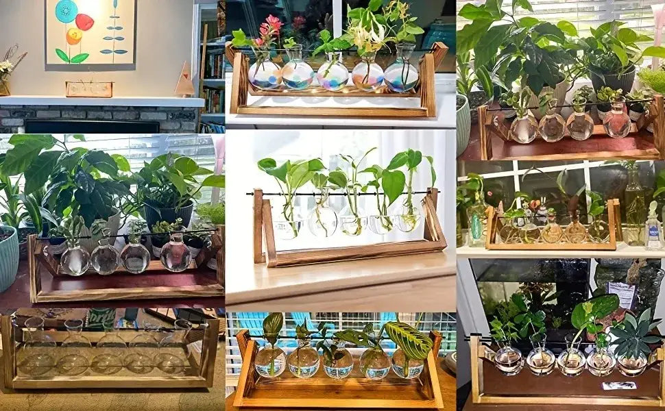 DecorBites™ Glass Planter Propagation Station with Wooden Rack