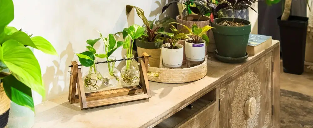 DecorBites™ Glass Planter Propagation Station with Wooden Rack