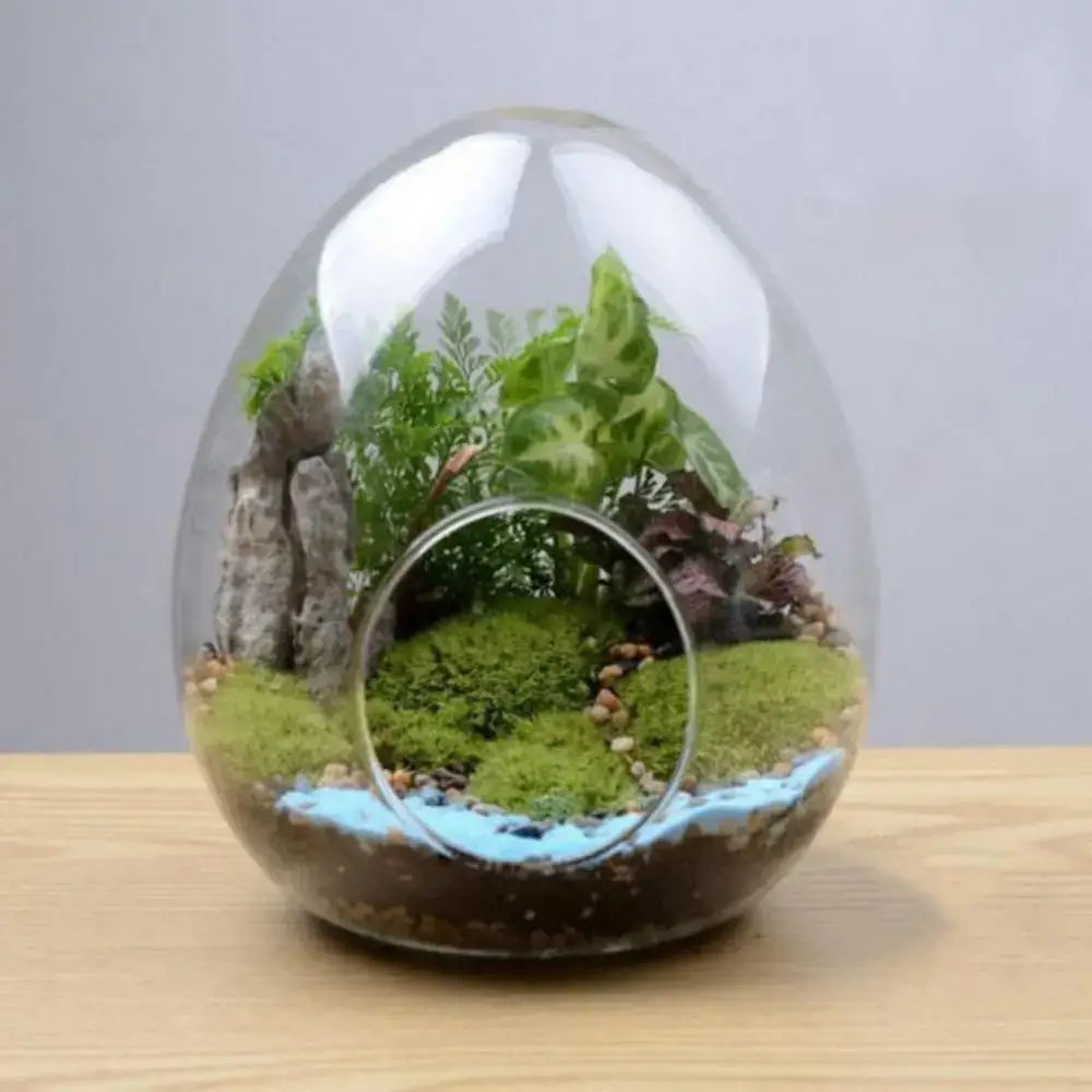 DecorBites™ Glass Succulent Egg-shaped Terrarium