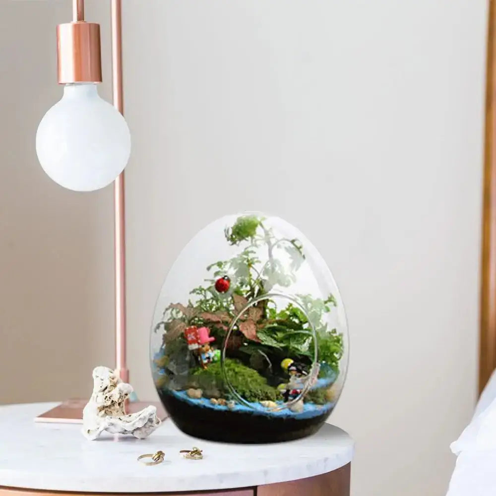 DecorBites™ Glass Succulent Egg-shaped Terrarium