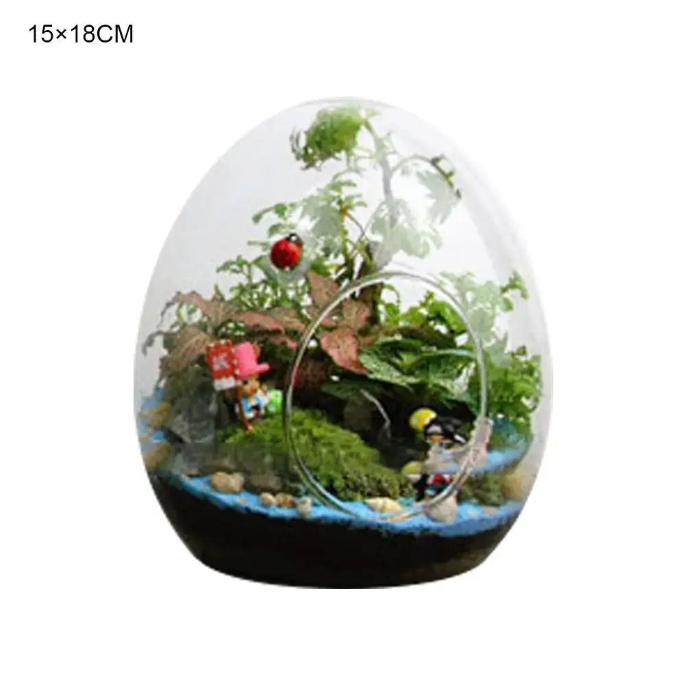 DecorBites™ Glass Succulent Egg-shaped Terrarium
