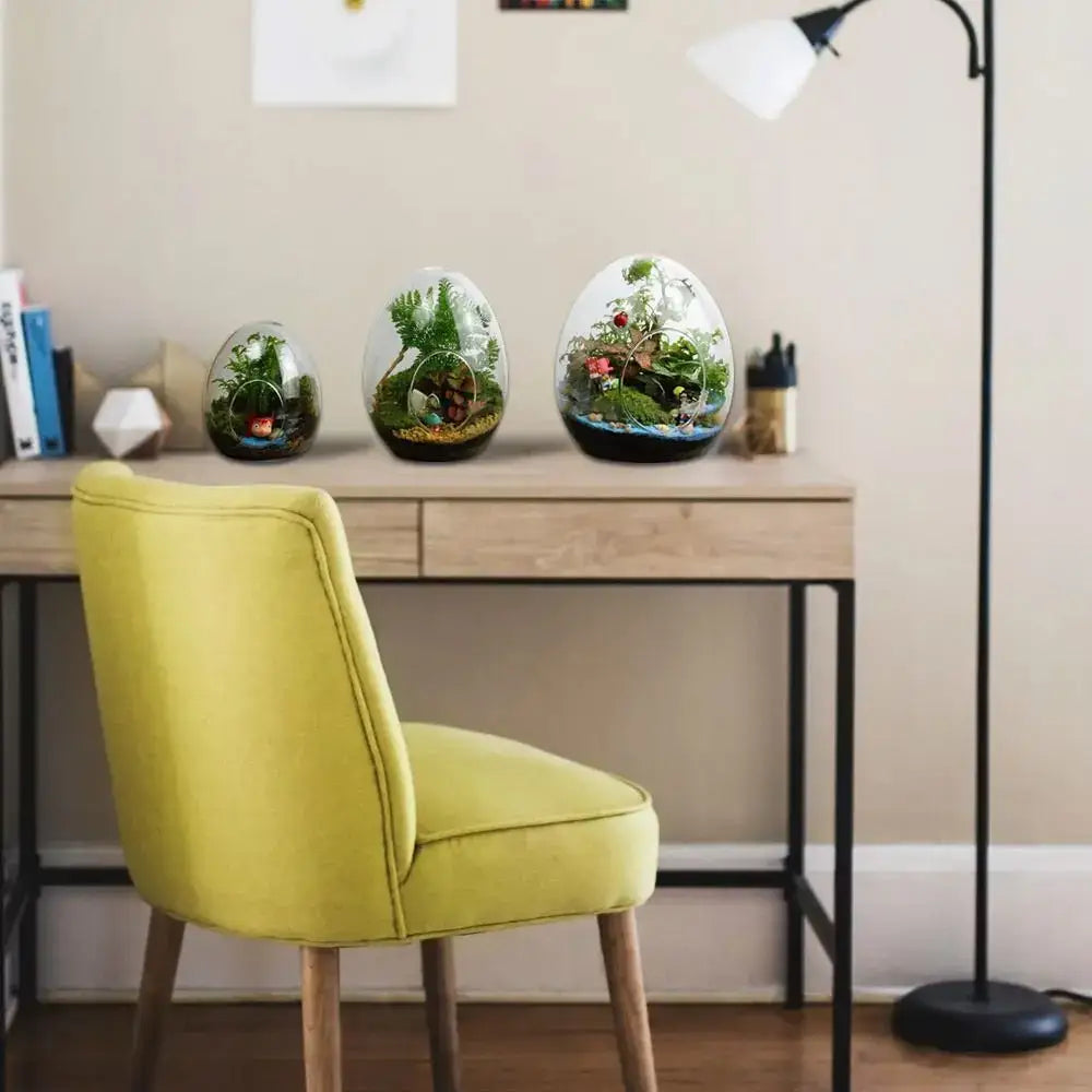 DecorBites™ Glass Succulent Egg-shaped Terrarium