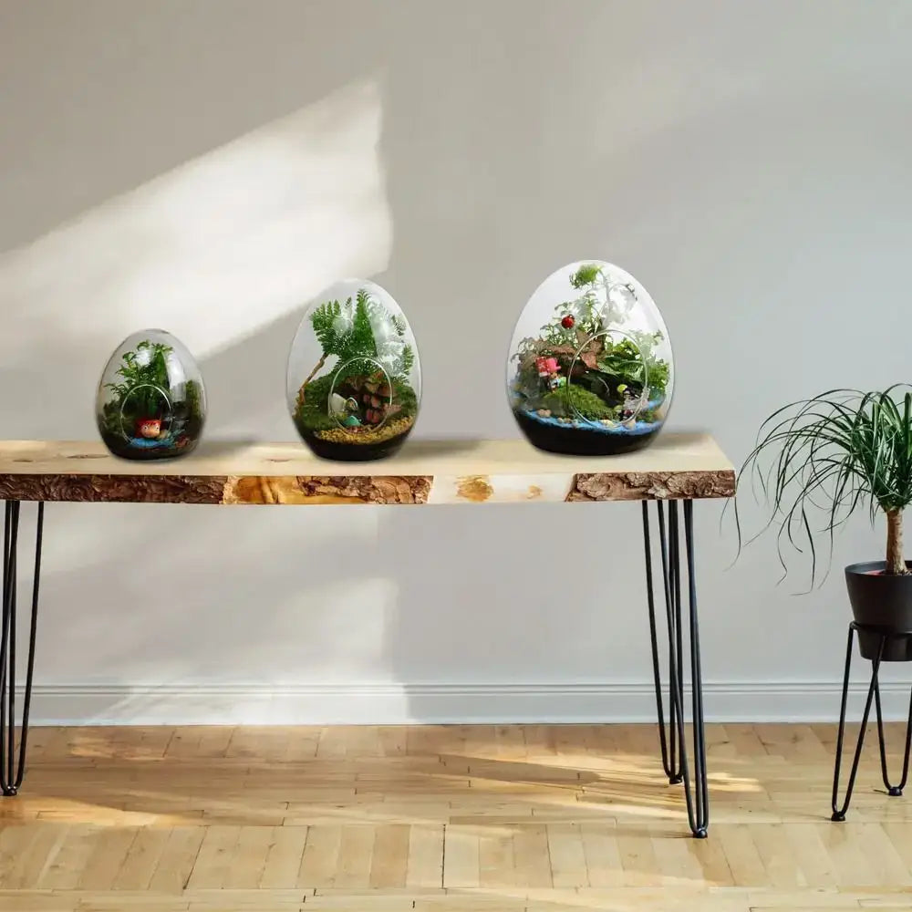 DecorBites™ Glass Succulent Egg-shaped Terrarium