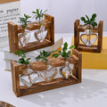 Decorbites™ glass vase terrarium with wooden frame featuring heart hydroponic plant holders with visible roots
