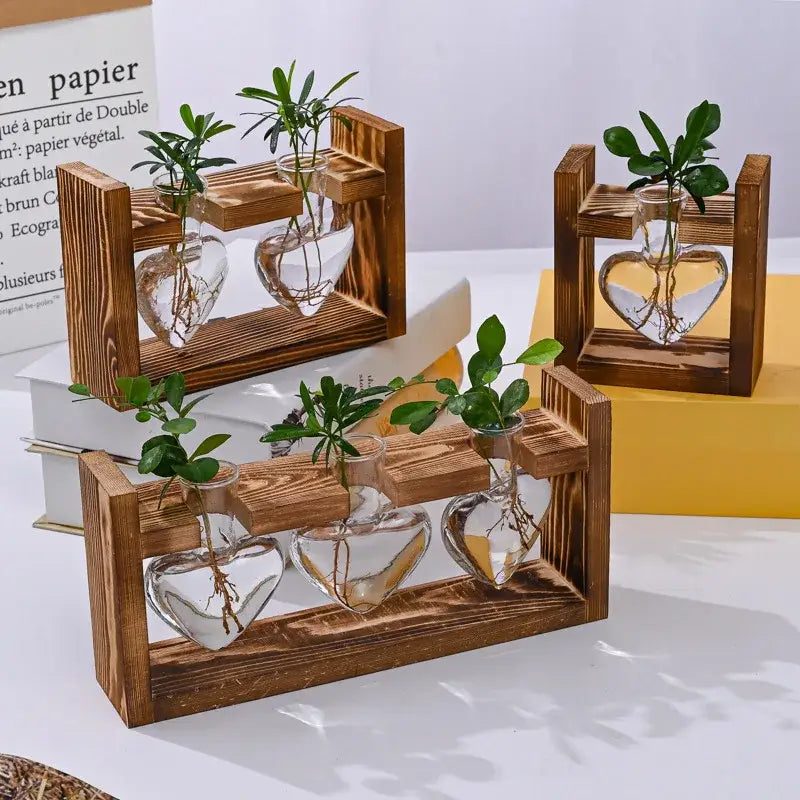 DecorBites™ Glass Vase Terrarium with Wooden Frame