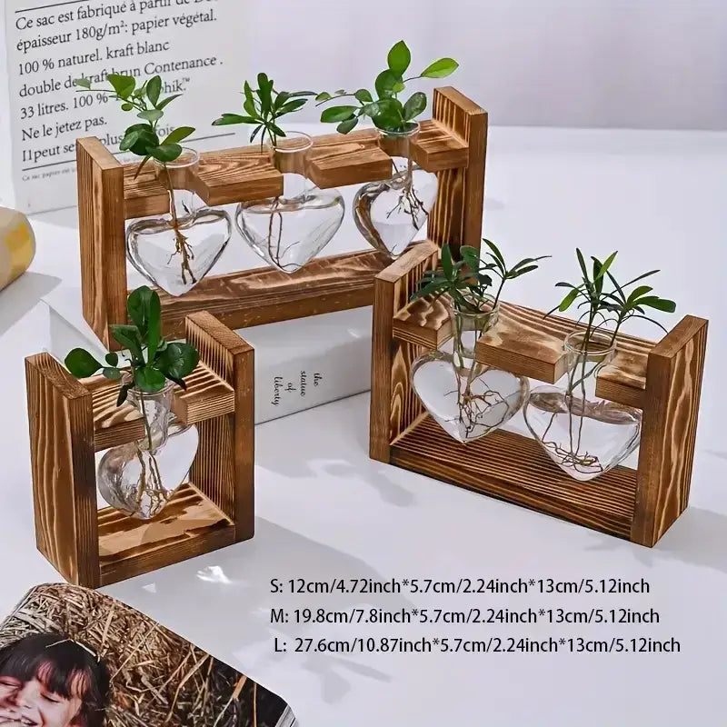 DecorBites™ Glass Vase Terrarium with Wooden Frame