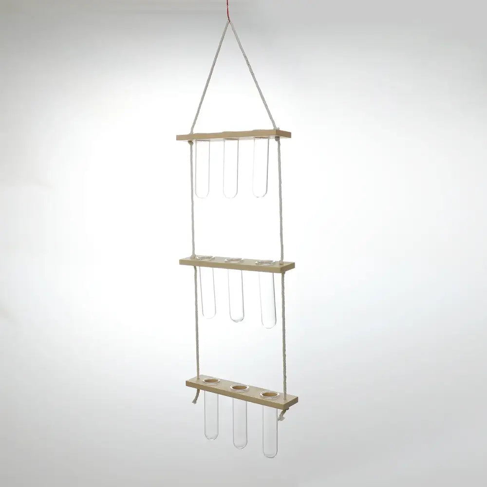 DecorBites™ Glass Wall Hanging Planters with Wooden Holder