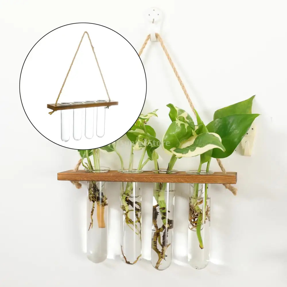 DecorBites™ Glass Wall Hanging Planters with Wooden Holder