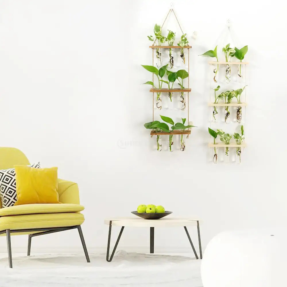 Wooden wall hanging planter with clear glass test tubes and green leafy plants in decorbites™ wooden holder
