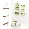 DecorBites™ Glass Wall Hanging Planters with Wooden Holder