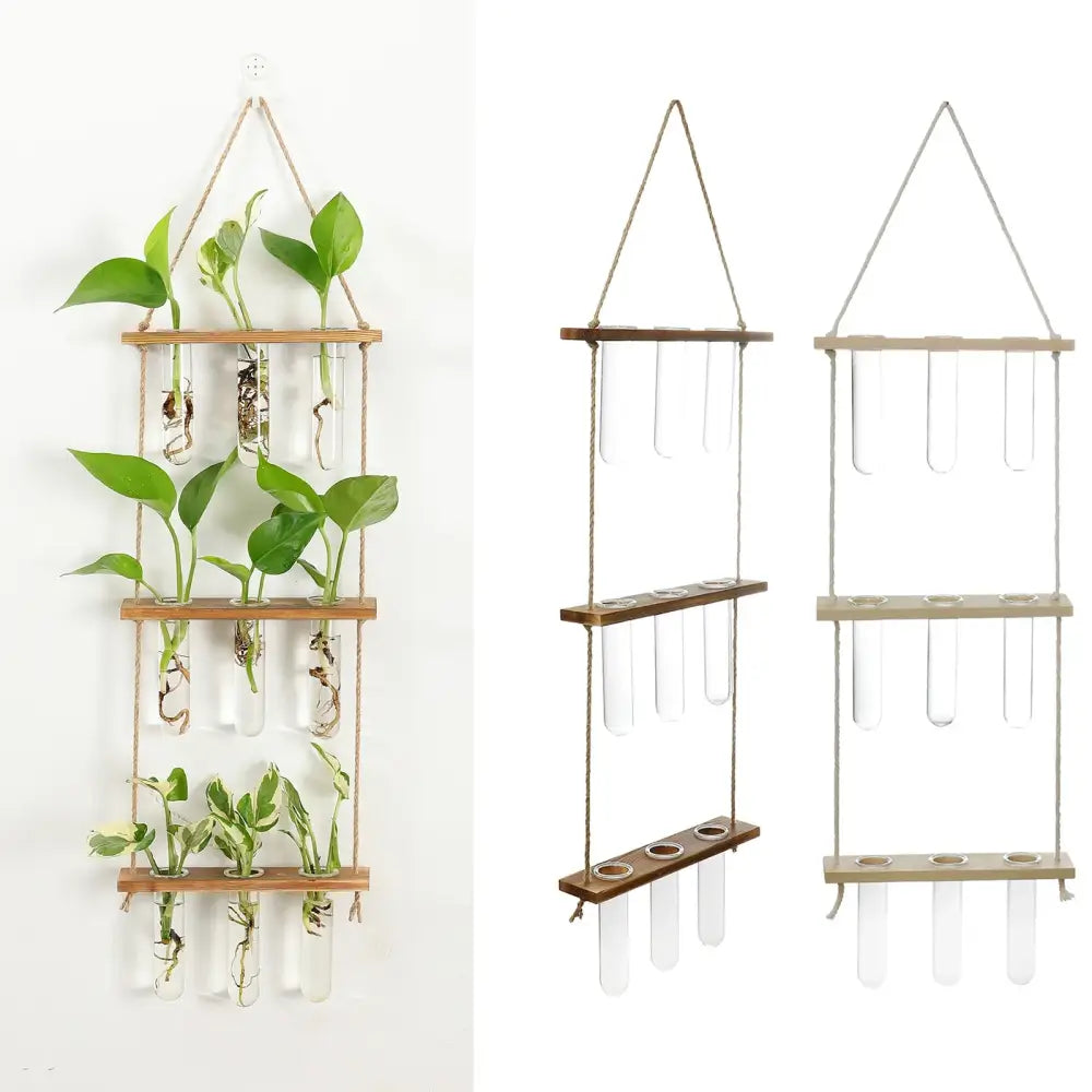 DecorBites™ Glass Wall Hanging Planters with Wooden Holder