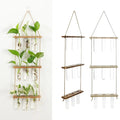 Wooden holder wall hanging planter with clear glass test tubes and natural twine by DecorBites™
