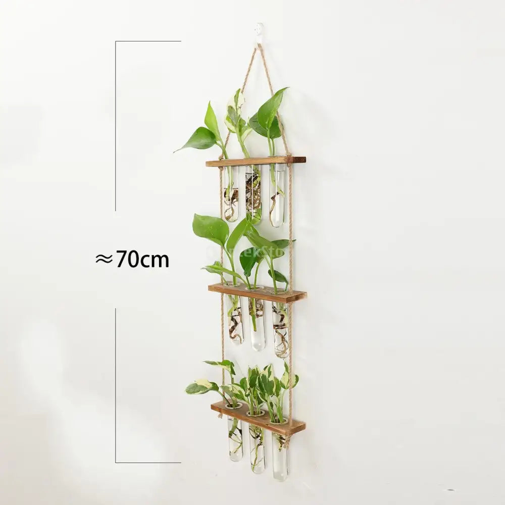 DecorBites™ Glass Wall Hanging Planters with Wooden Holder