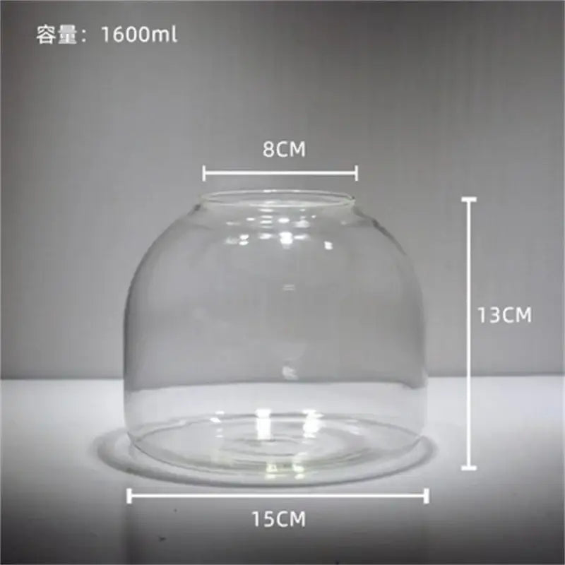 DecorBites™ Green Moss Glass Vase Terrarium Container
