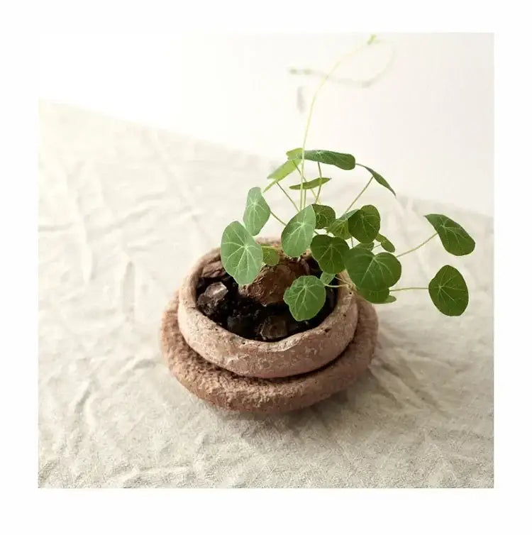 DecorBites™ Handcrafted Ceramic Vase for Flowers