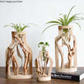 DecorBites™ handcrafted wooden vase features natural driftwood frames with clear glass and green air plants for home decor