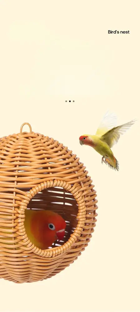 DecorBites™ Handwoven Grass Bird Cage Hut for Small Birds