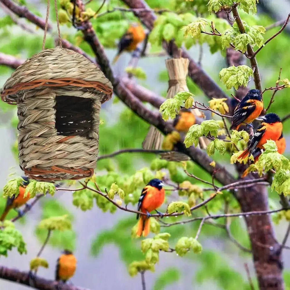 DecorBites™ Handwoven Parrot Bird Nest for Outdoor Gardens